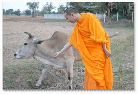 พระสมศักดิ์ มงคล